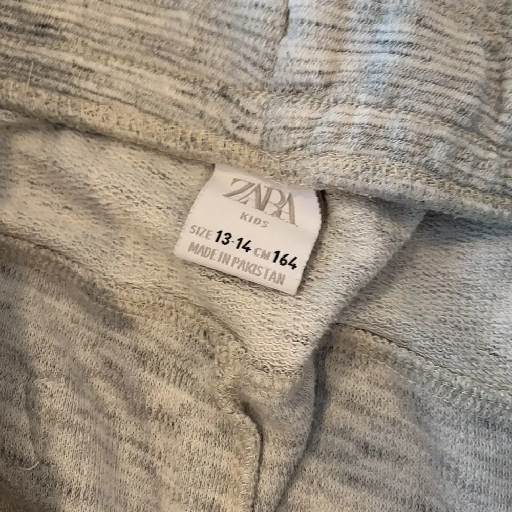 Zara jogger pants
